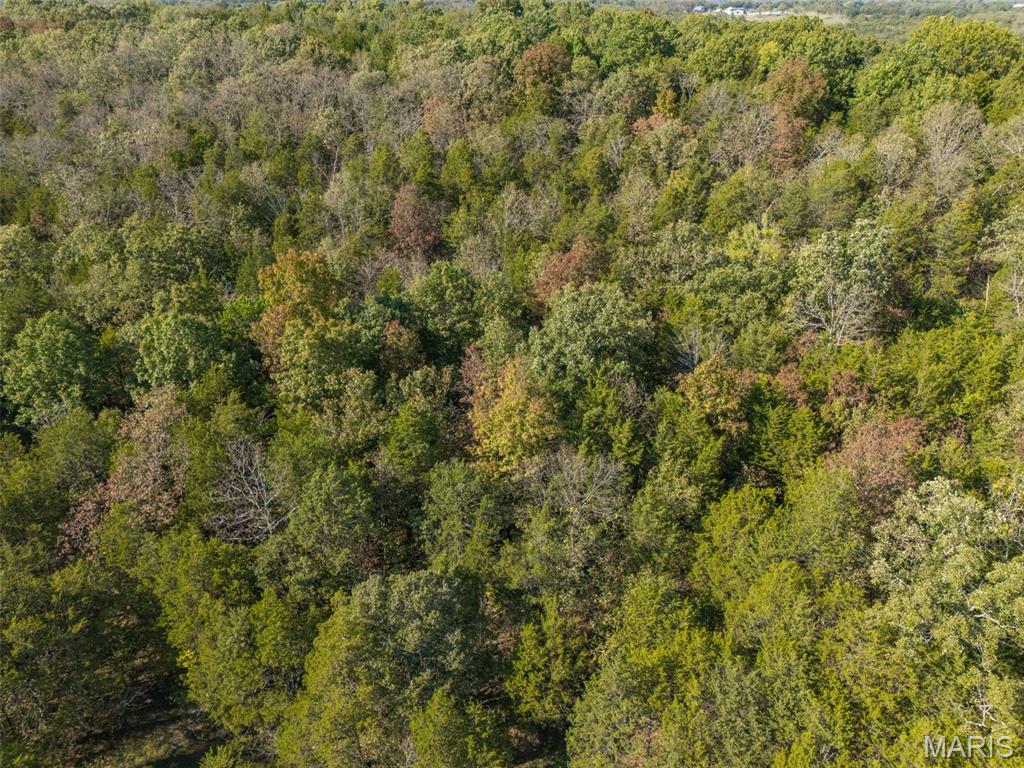 1444 Yellow Rock Road De Soto, MO 63020 - Photo 21 of 44