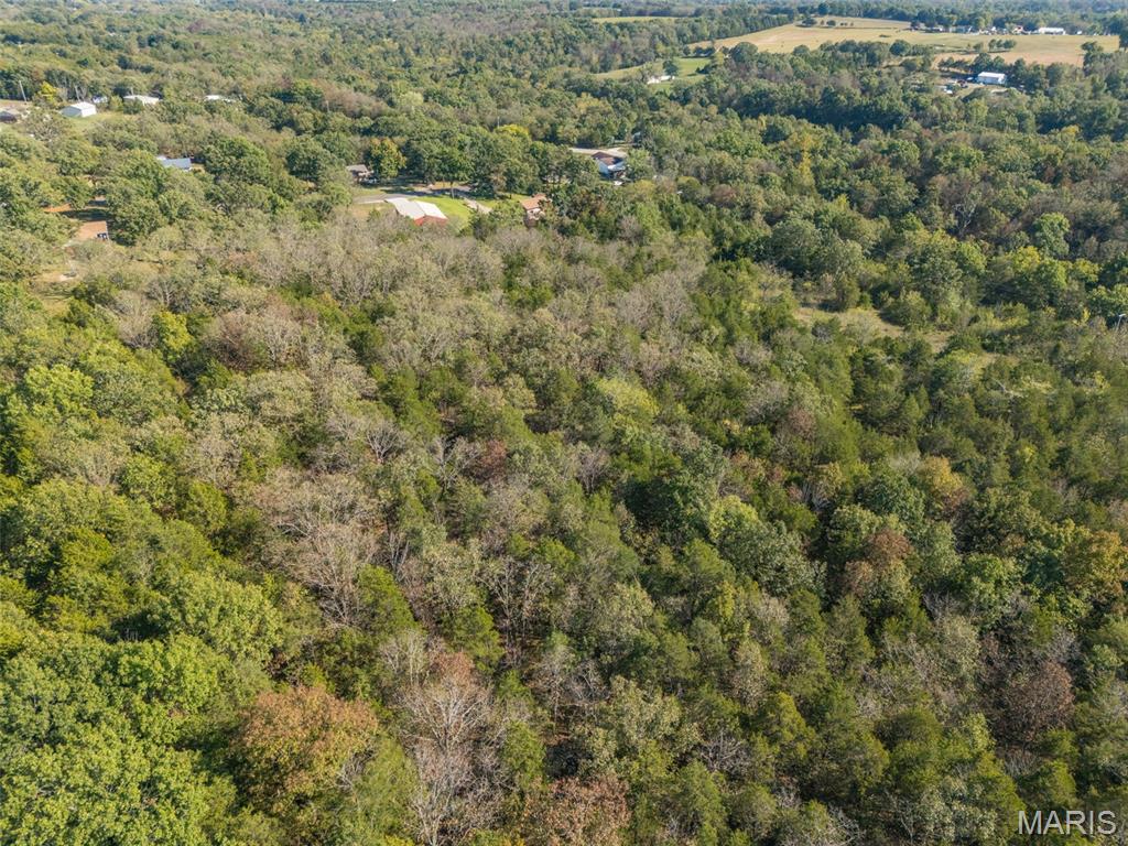 1444 Yellow Rock Road De Soto, MO 63020 - Photo 24 of 44