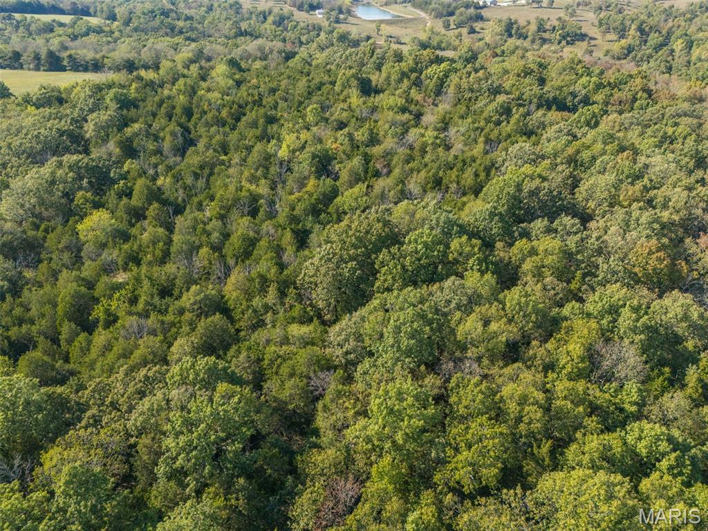 1444 Yellow Rock Road De Soto, MO 63020 - Photo 25 of 44