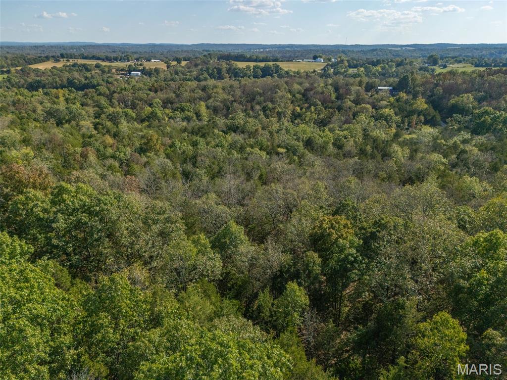 1444 Yellow Rock Road De Soto, MO 63020 - Photo 27 of 44