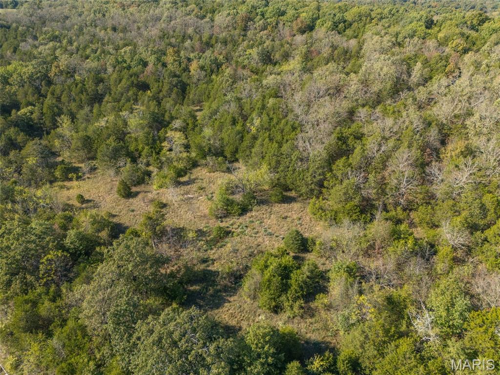 1444 Yellow Rock Road De Soto, MO 63020 - Photo 29 of 44