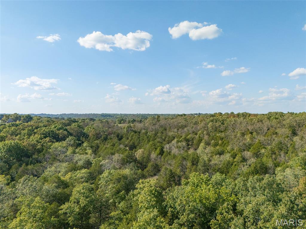 1444 Yellow Rock Road De Soto, MO 63020 - Photo 31 of 44