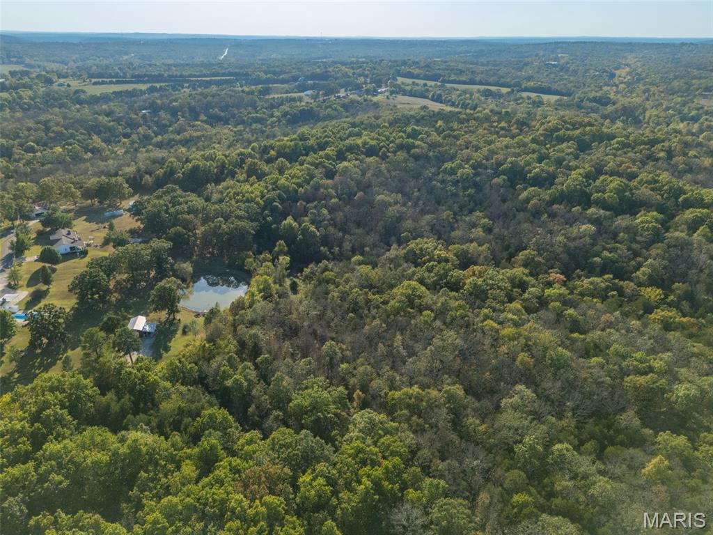 1444 Yellow Rock Road De Soto, MO 63020 - Photo 43 of 44