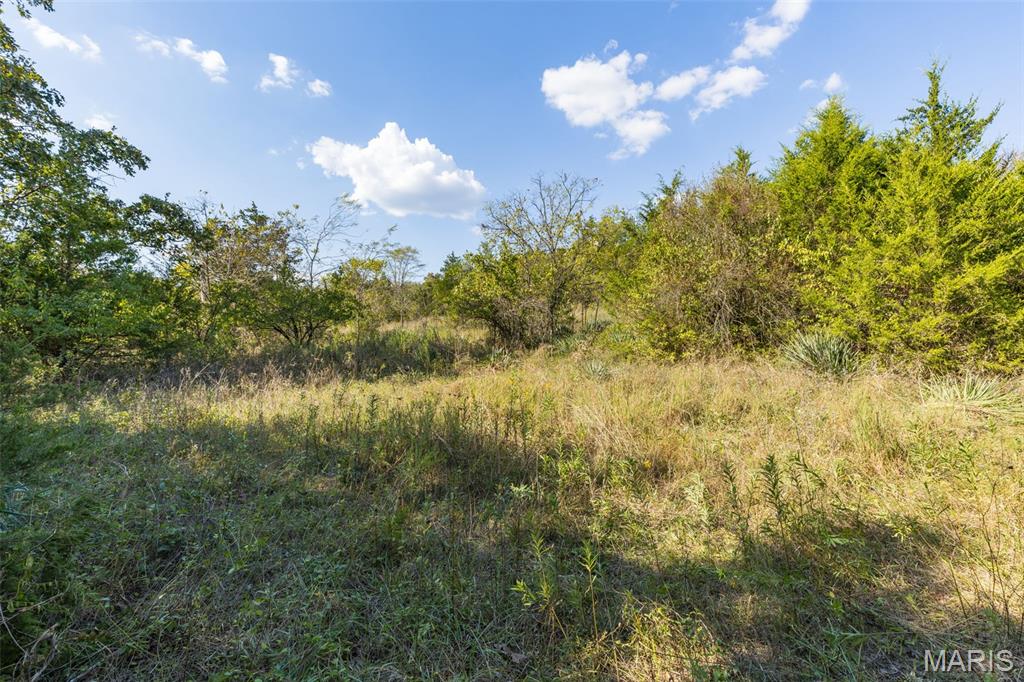 1444 Yellow Rock Road De Soto, MO 63020 - Photo 6 of 44