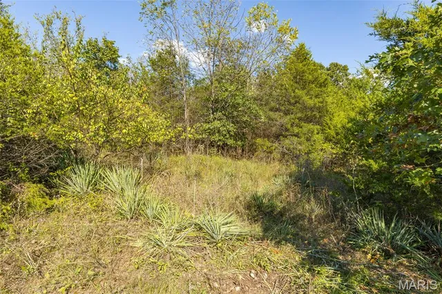 $630,000 | 1444 Yellow Rock Road, De Soto, MO 63020