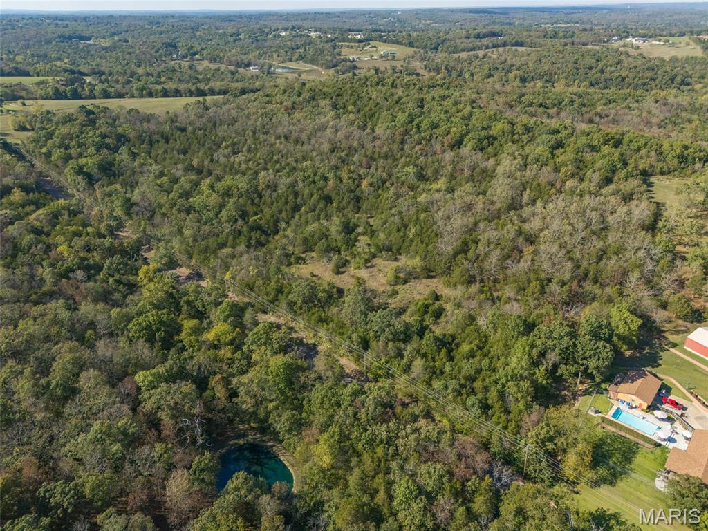 1444 Yellow Rock Road De Soto, MO 63020 - Photo 10 of 44