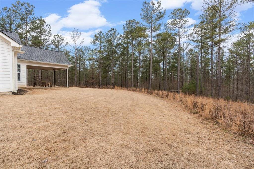 1270 McGarity Road Temple, GA 30179 - Photo 46 of 58