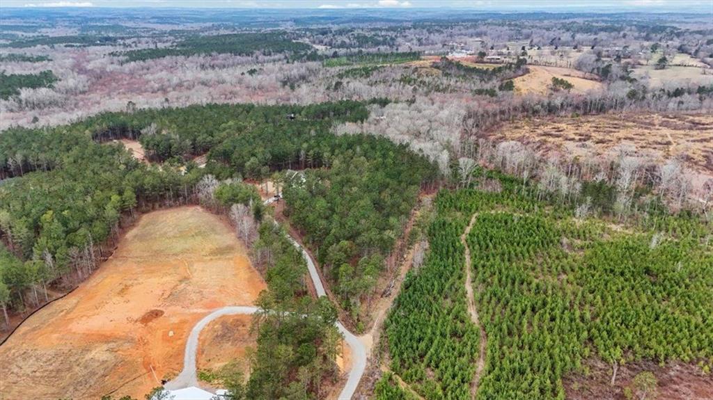 1270 McGarity Road Temple, GA 30179 - Photo 47 of 58 an aerial view of a house