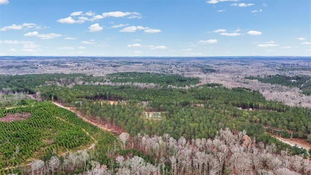 1270 McGarity Road Temple, GA 30179 - Photo 51 of 58 a view of a lake with a city