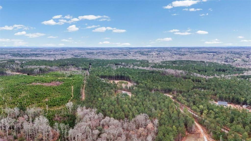 1270 McGarity Road Temple, GA 30179 - Photo 52 of 58 a view of a city with lush green forest