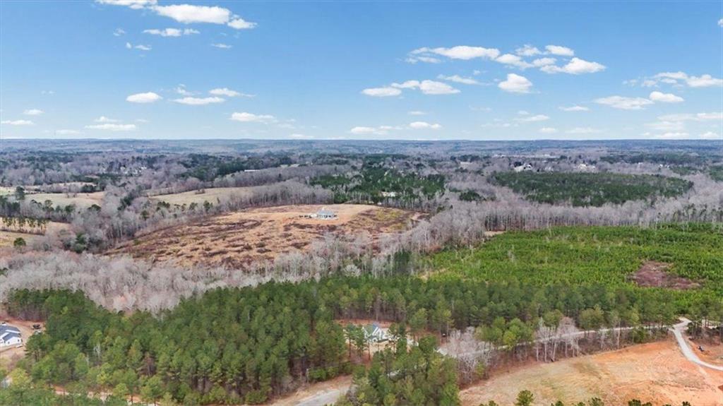 1270 McGarity Road Temple, GA 30179 - Photo 53 of 58 a view of a yard with a garden