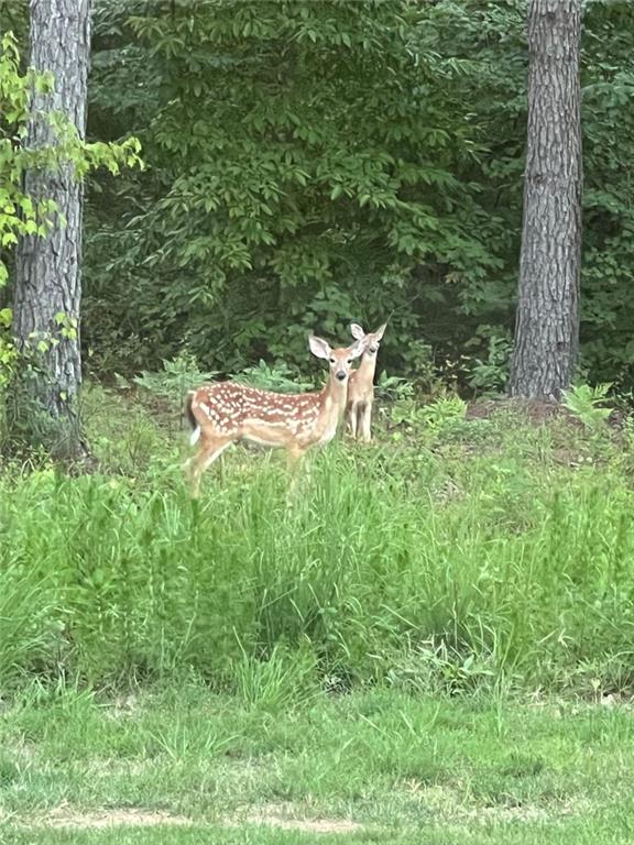 1270 McGarity Road Temple, GA 30179 - Photo 55 of 58