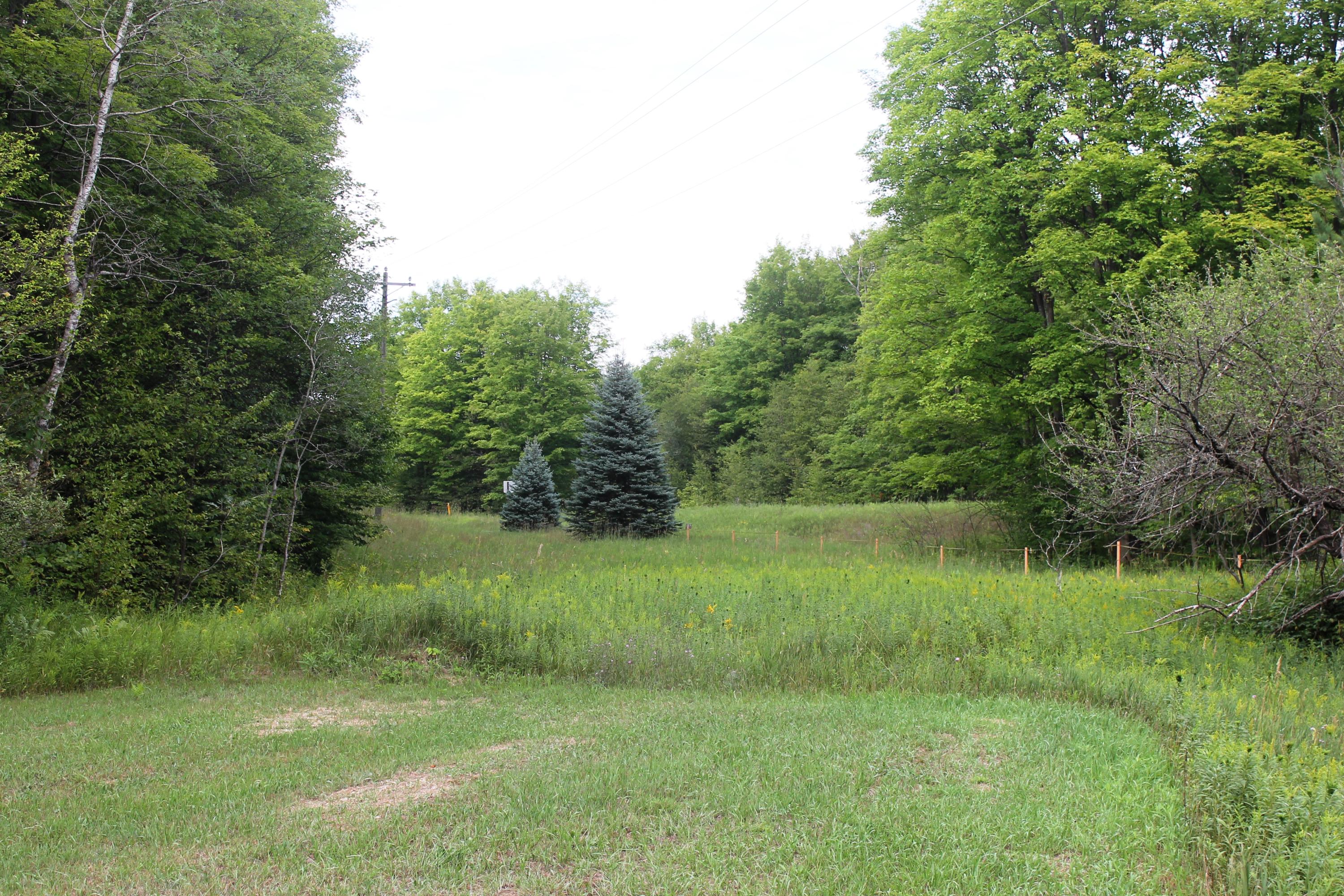 9062 Cameron Bridge Road Frederic, MI 49733 - Photo 40 of 46 Gallery Image 40
