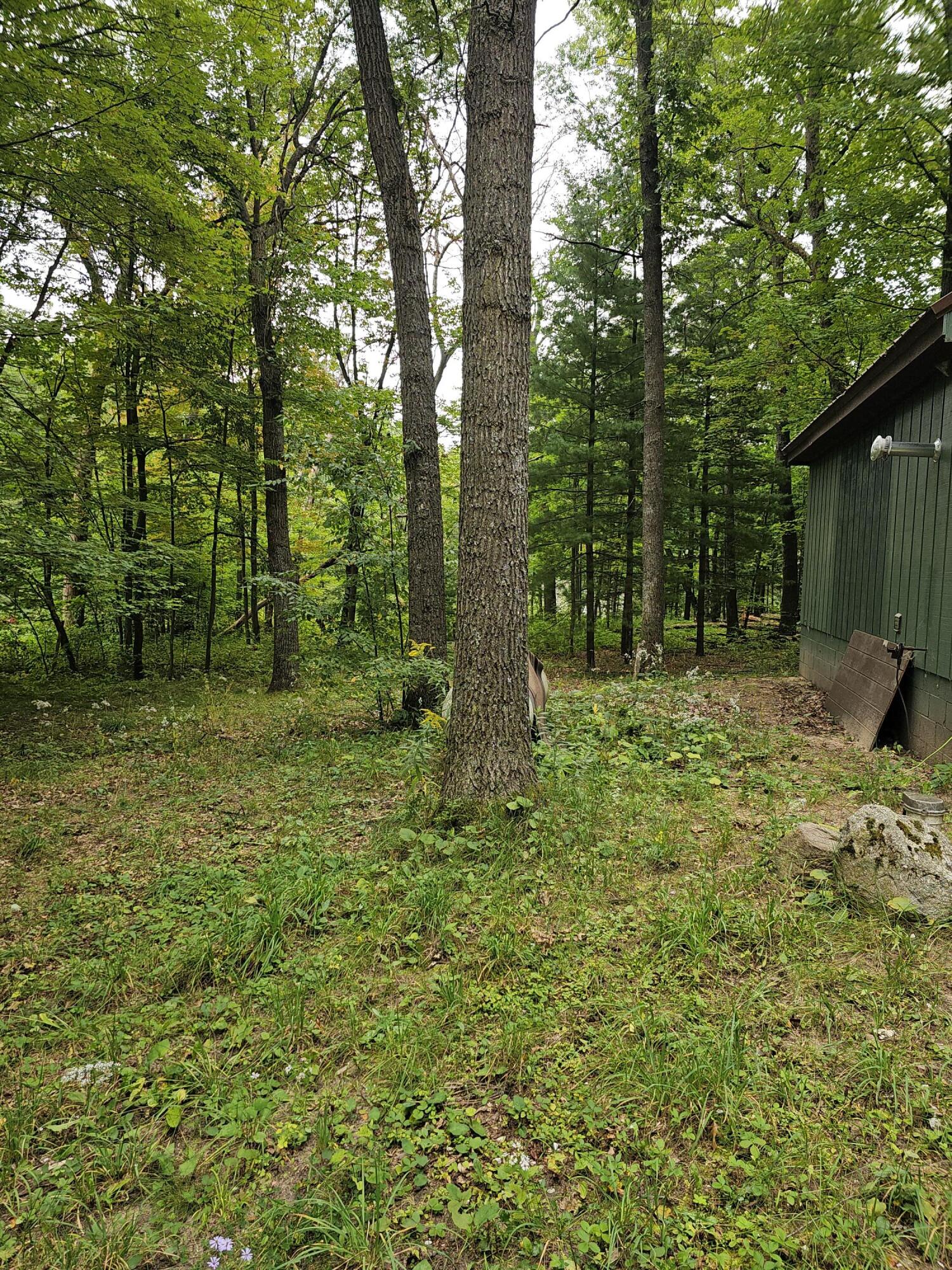 4082 Valley View Road Harrison, MI 48625 - Photo 4 of 12 20240911_131825