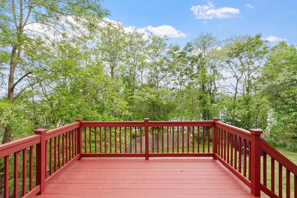 16 Cadorna Road Worcester, MA 01605 - Photo 7 of 42