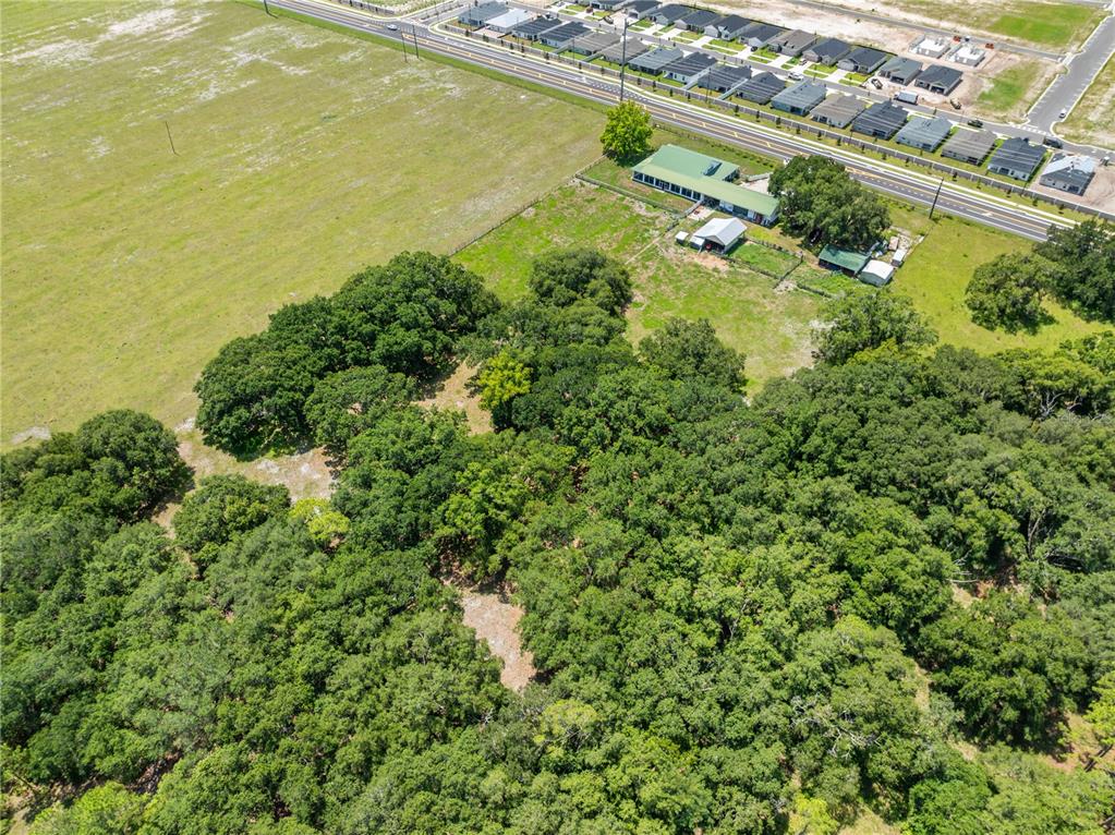 0 Hickory Tree Rd Street, Unit 34772 St. Cloud, FL 34771 - Photo 12 of 14