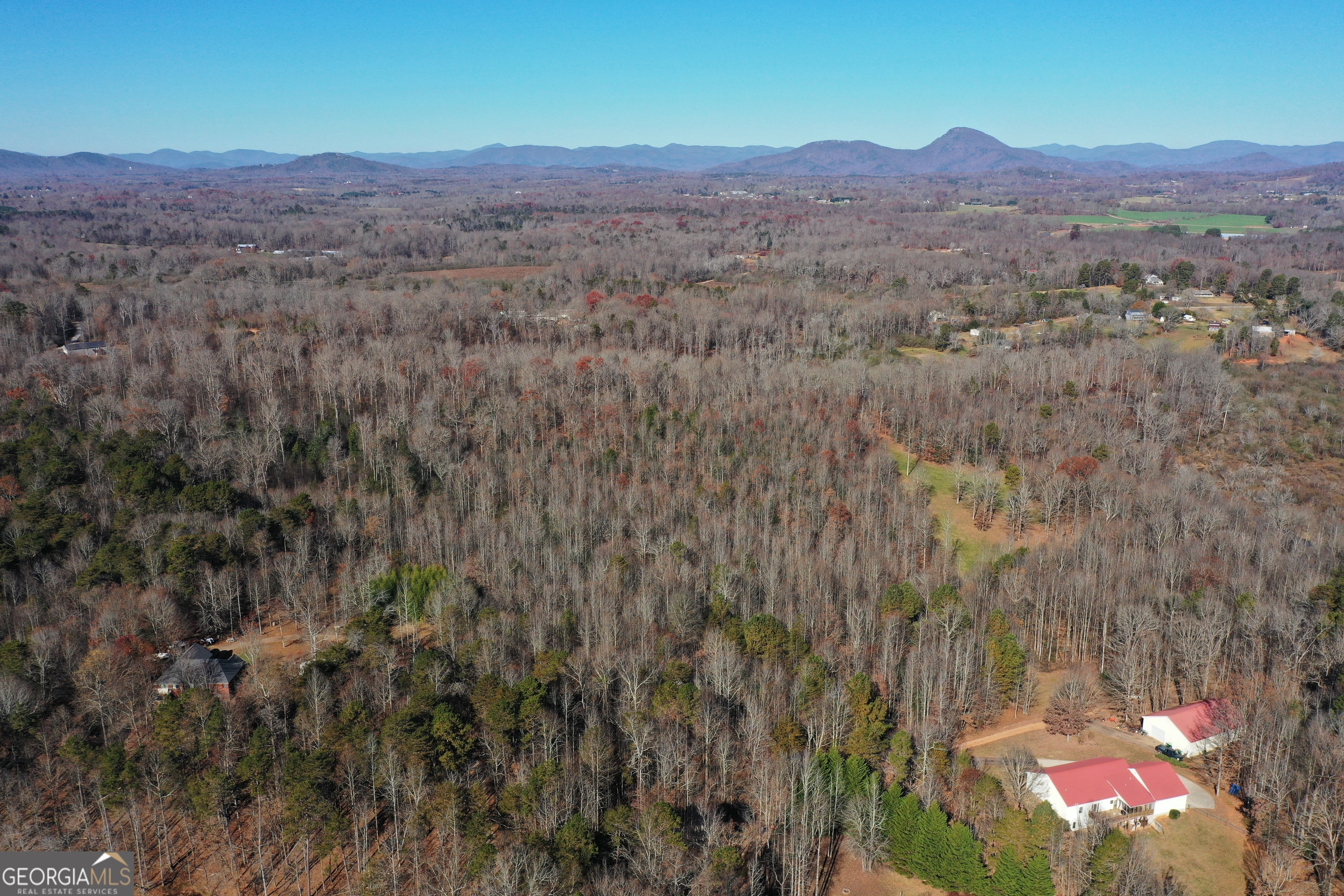 3532 New Bridge Road Cleveland, GA 30528 - Photo 2 of 7 a view of a lush green field