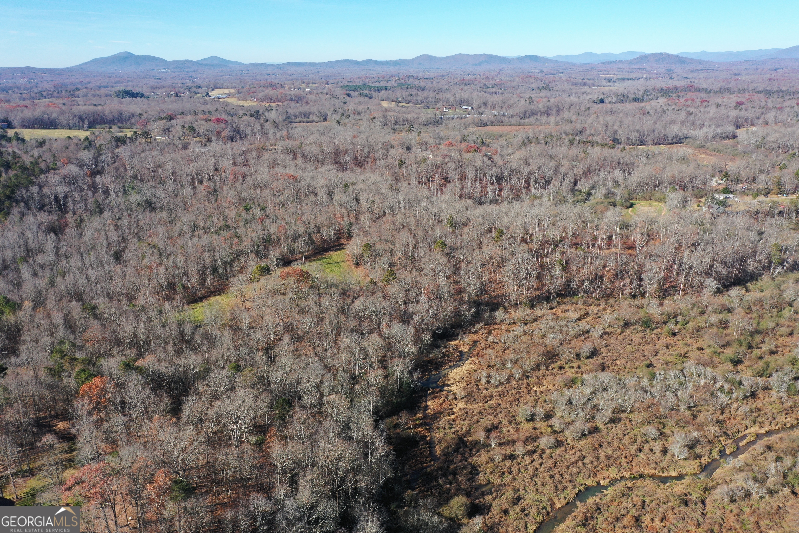 3532 New Bridge Road Cleveland, GA 30528 - Photo 3 of 7 a view of a dry yard with green space