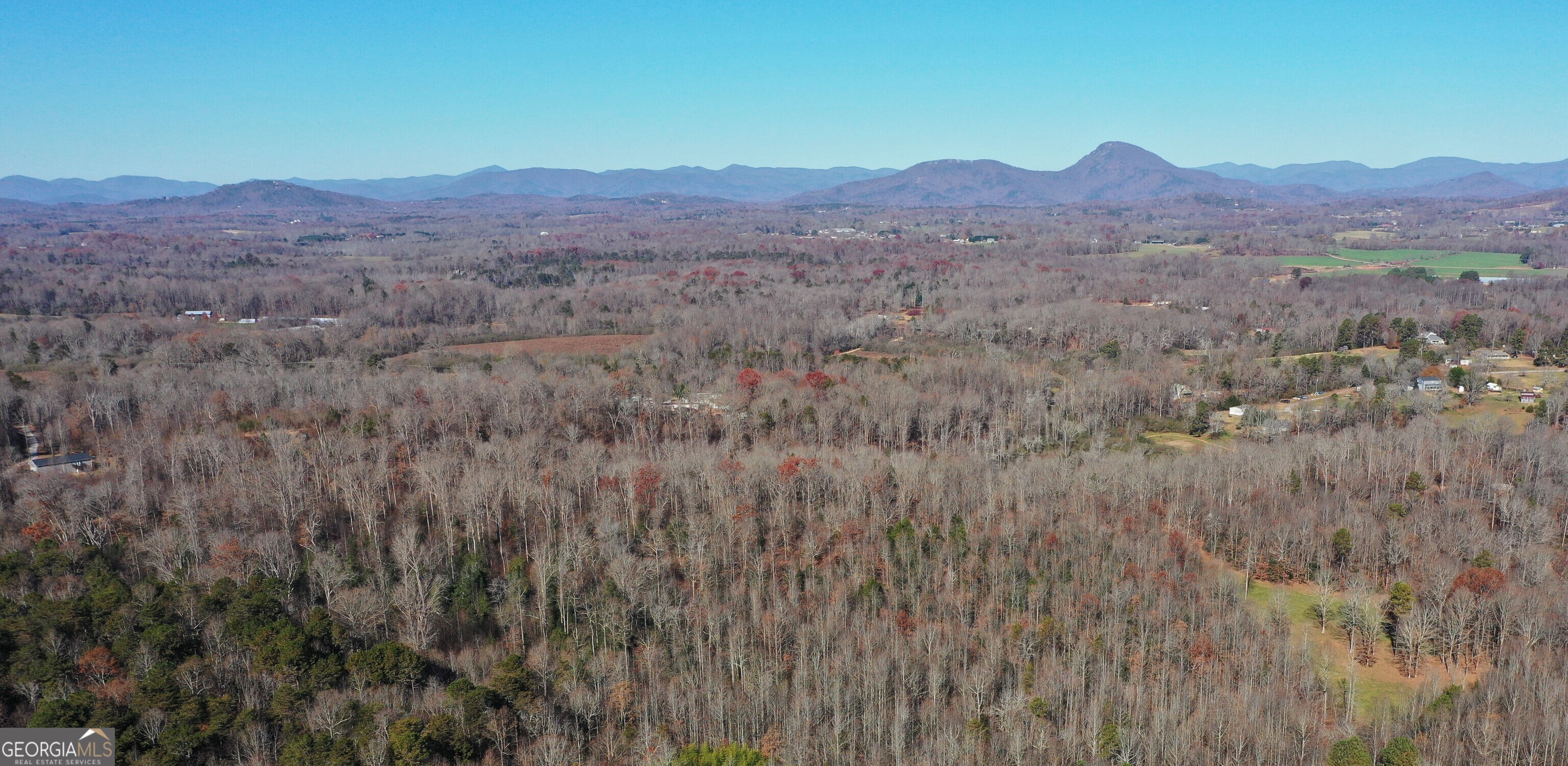 3532 New Bridge Road Cleveland, GA 30528 - Photo 4 of 7 a view of a lush green hillside and a houses