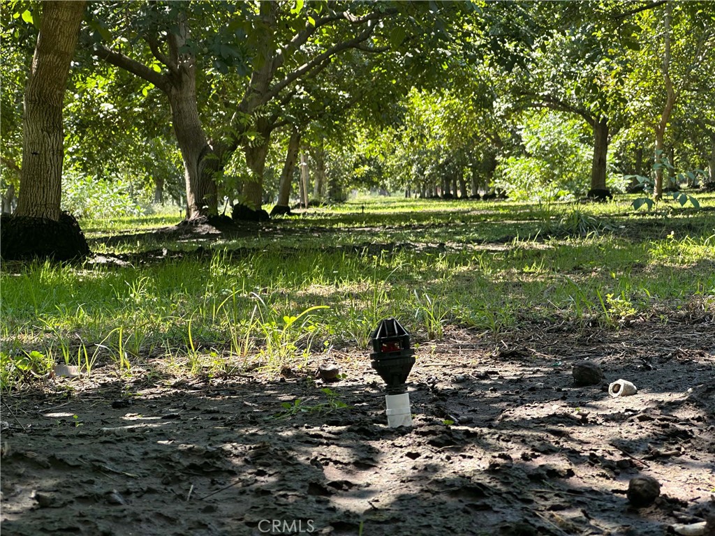 4215 Stephens Road Corning, CA 96021 - Photo 7 of 10 a view of a lake with a yard