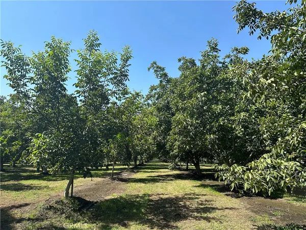 $500,000 | 4215 Stephens Road, Corning, CA 96021