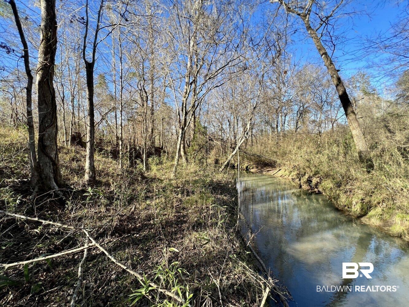 0 Highway 84 Evergreen, AL 36401 - Photo 19 of 50