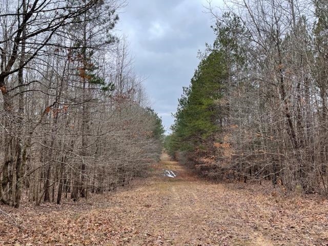 1540 Nubbin Ridge Road Middleton, TN 38052 - Photo 15 of 19 Gallery Image 15
