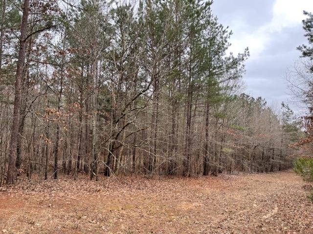 1540 Nubbin Ridge Road Middleton, TN 38052 - Photo 16 of 19 Gallery Image 16