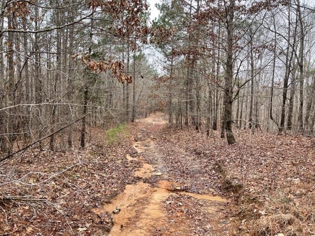 1540 Nubbin Ridge Road Middleton, TN 38052 - Photo 17 of 19 Gallery Image 17