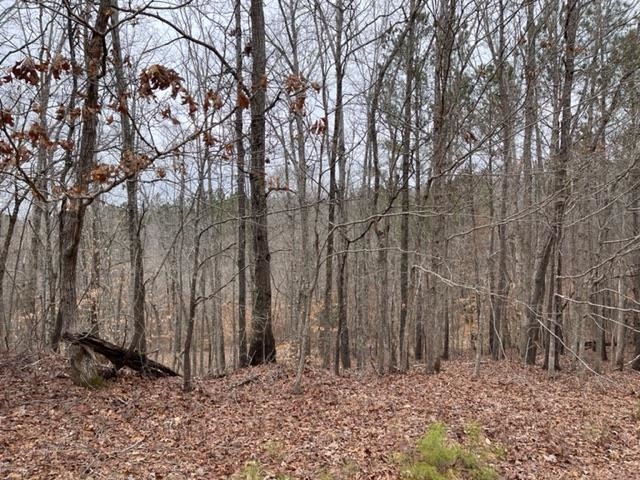 1540 Nubbin Ridge Road Middleton, TN 38052 - Photo 19 of 19 Gallery Image 19