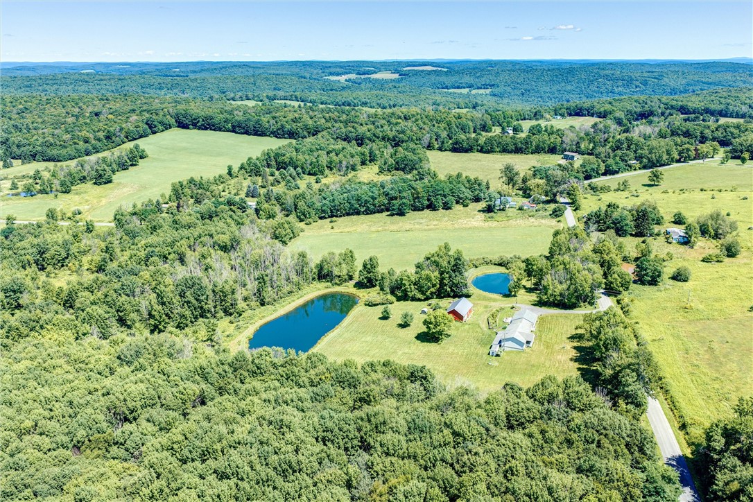 1593 Butternut Road Butternuts, NY 13849 - Photo 6 of 50 Gallery Image 6