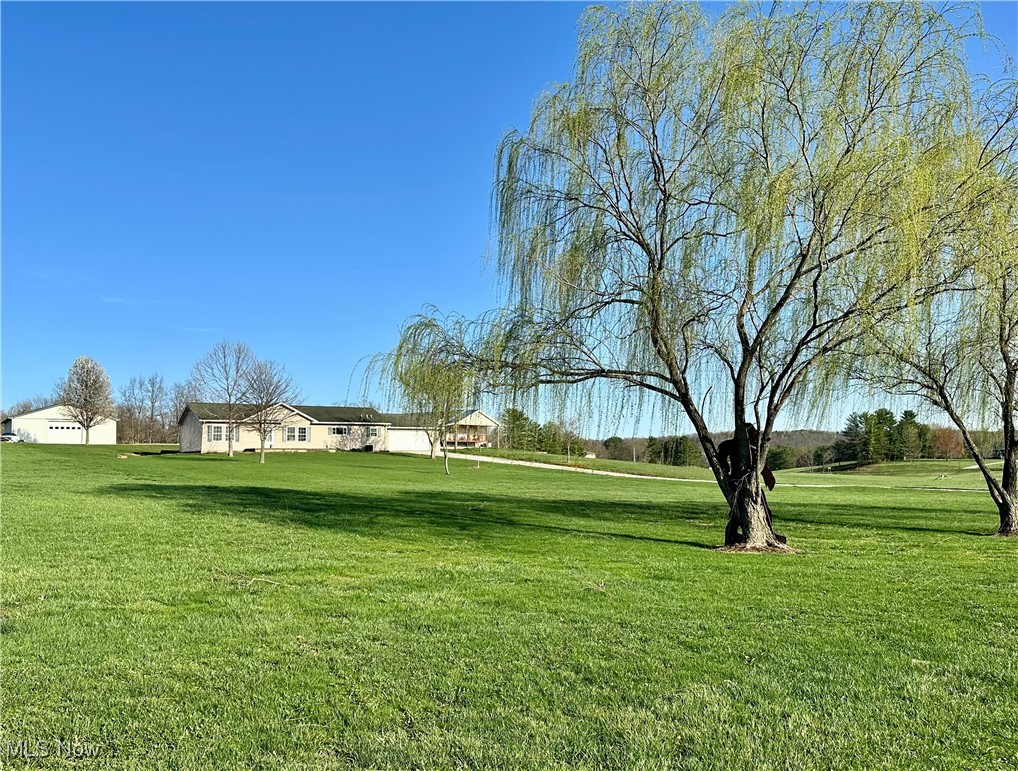 Large front yard