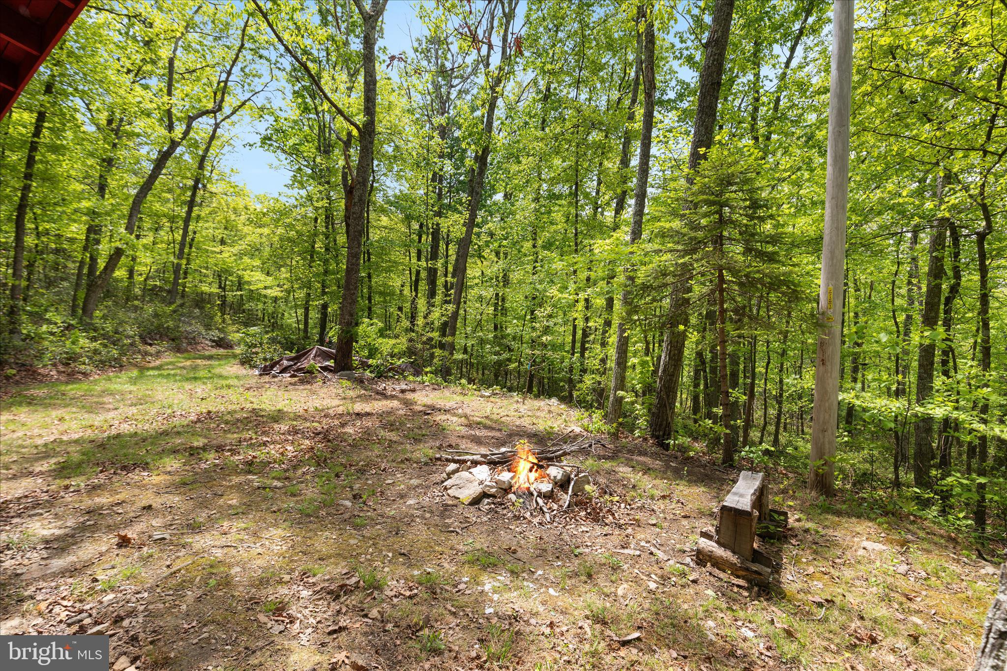 551 Sawlog Road Gore, VA 22637 - Photo 21 of 27 level, cleared area