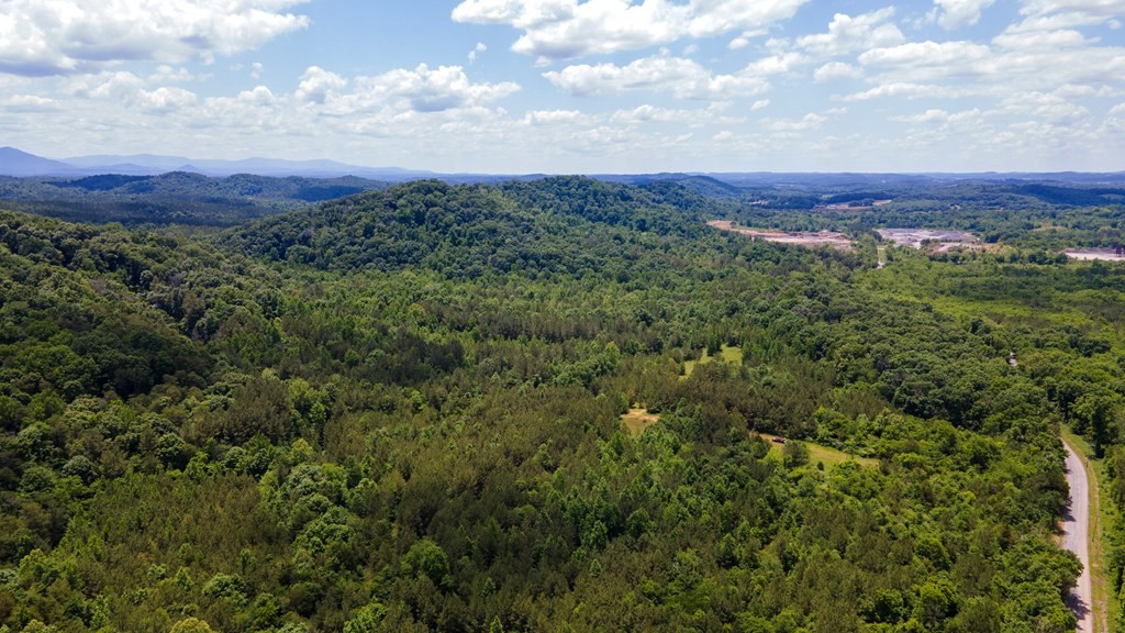 1 State Highway Calhoun, TN 37309 - Photo 4 of 20