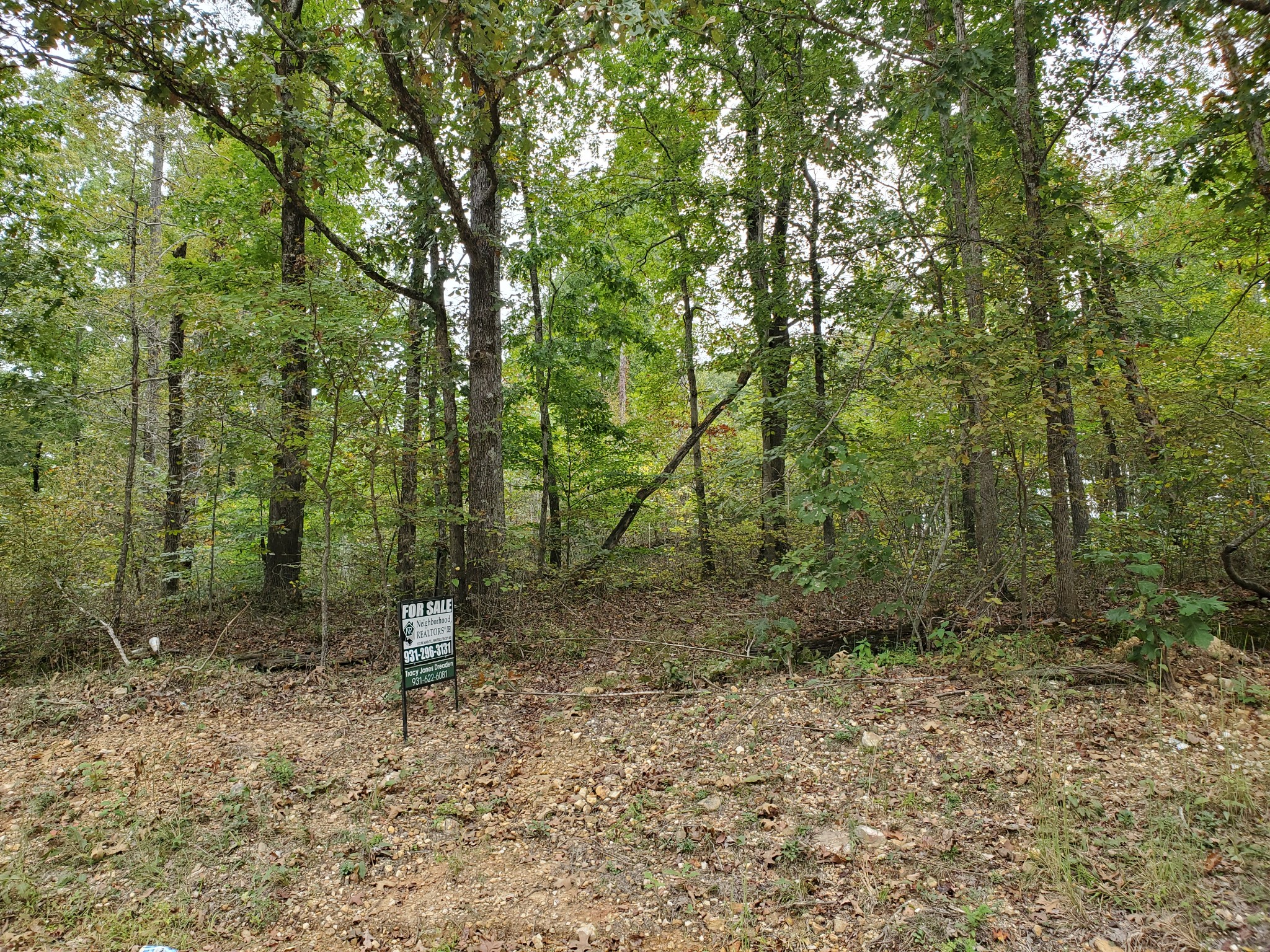 0 White Oak Ridge Road Waverly, TN 37185 - Photo 3 of 6 Gallery Image 3