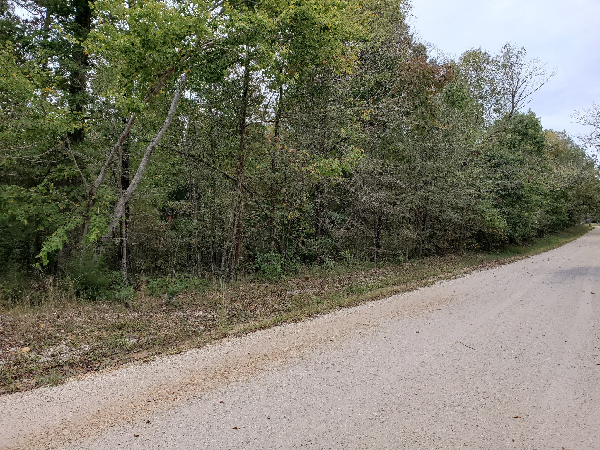0 White Oak Ridge Road Waverly, TN 37185 - Photo 6 of 6 Gallery Image 6