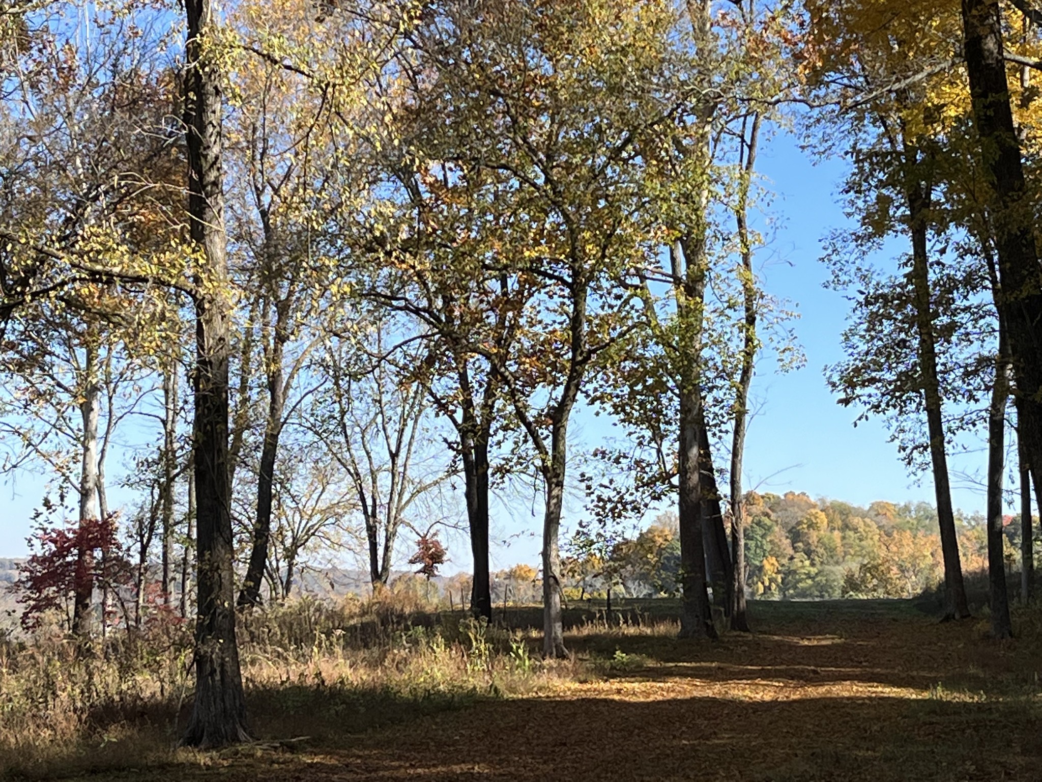 2677 Pigg Schoolhouse Road Santa Fe, TN 38482 - Photo 27 of 35 a view of lake view