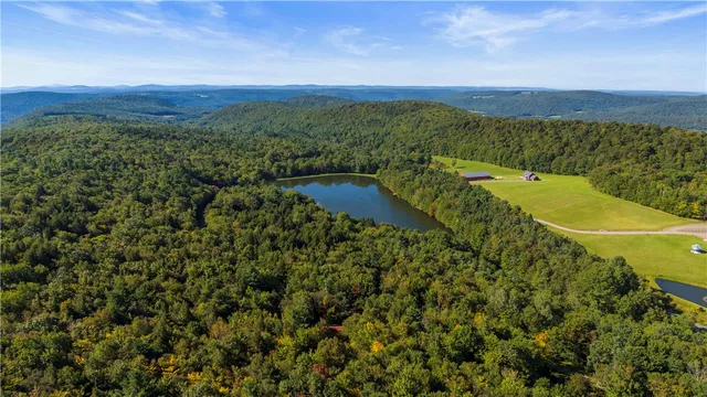 $529,000 | 135 Sparrowhawk Lake Road, Maryland, NY 12155