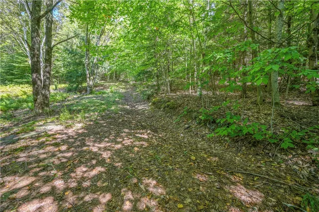 $529,000 | 135 Sparrowhawk Lake Road, Maryland, NY 12155