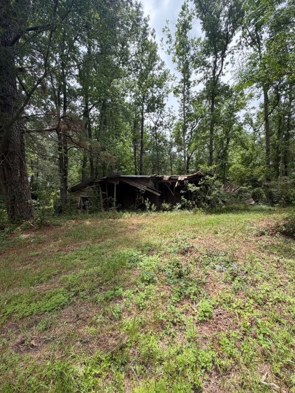 371 Fm 1872 Corrigan, TX 75939 - Photo 48 of 50