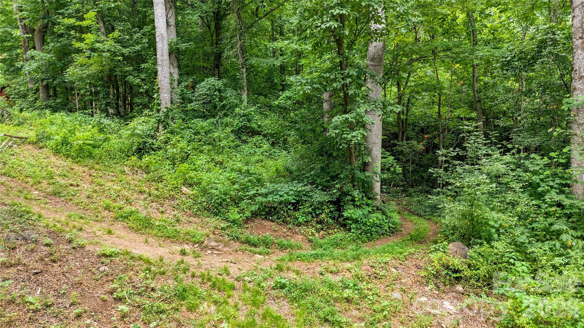 0 Fisher Creek Road Sylva, NC 28779 - Photo 6 of 18