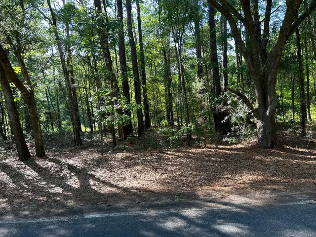 $585,000 | 1 Martin Street, Ravenel, SC 29470