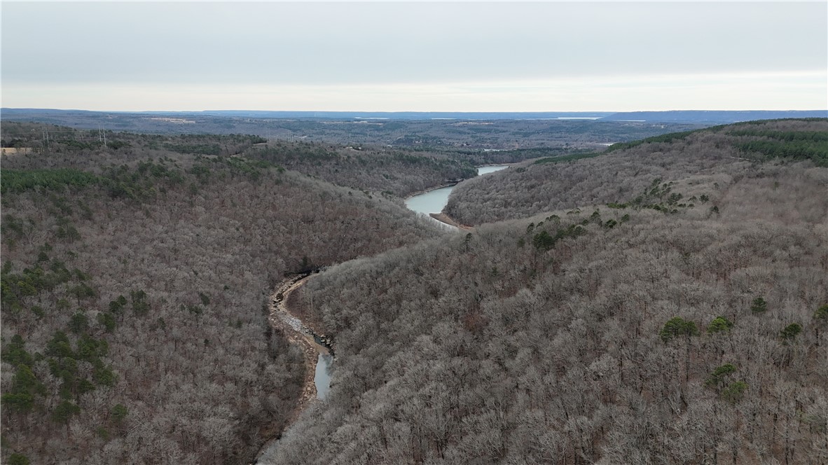0 Old Brewer Road South Edgemont, AR 72044 - Photo 15 of 60 Aerial view of a heavily wooded area and a large body of water