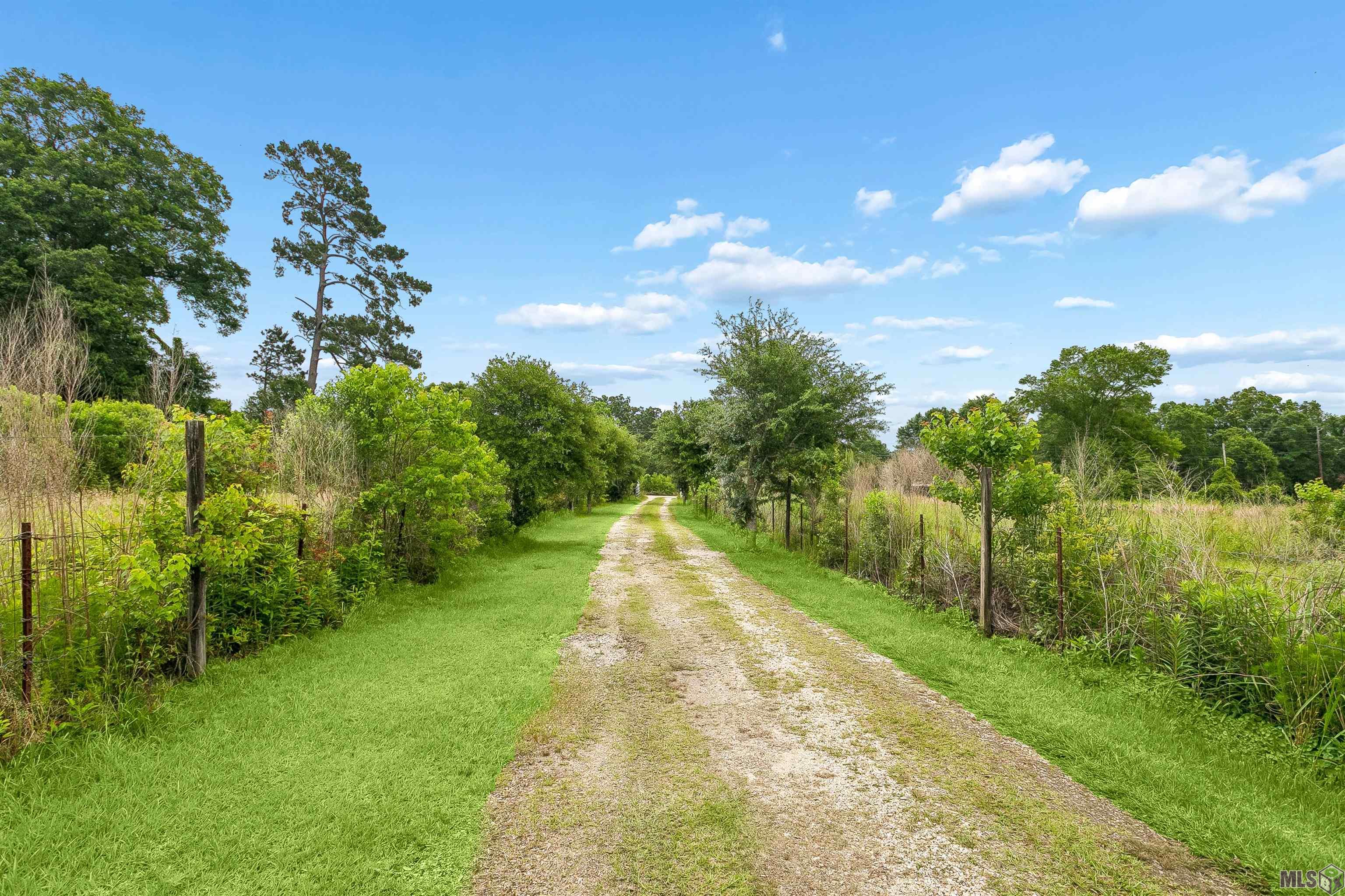 54107 Sweetwater Road Independence, LA 70443 - Photo 4 of 12