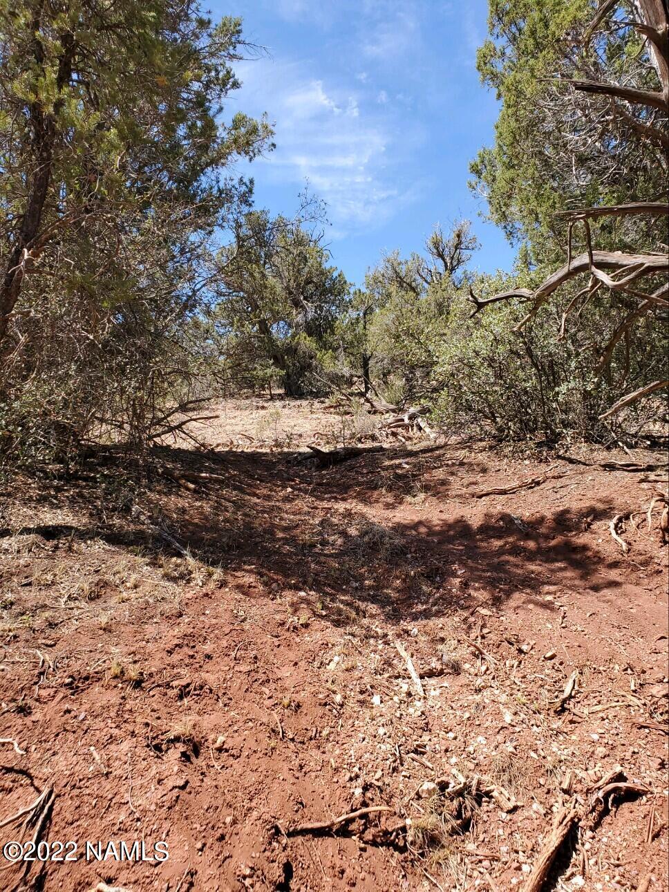 Parcel # Parcel Ash Fork, AZ 86320 - Photo 3 of 5 20220611_103107