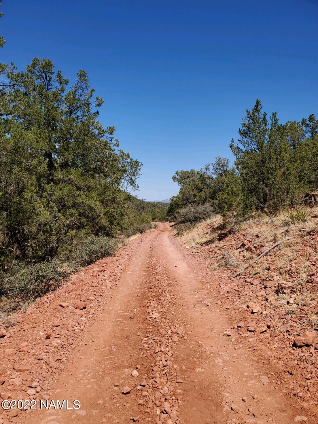 Parcel # Parcel Ash Fork, AZ 86320 - Photo 4 of 5 20220611_102933