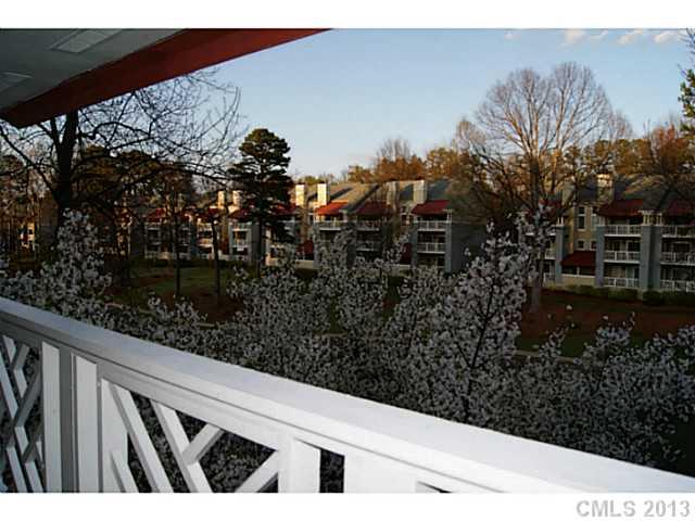 19823 Henderson Road, Unit E Cornelius, NC 28031 - Photo 13 of 14 a view of a yard