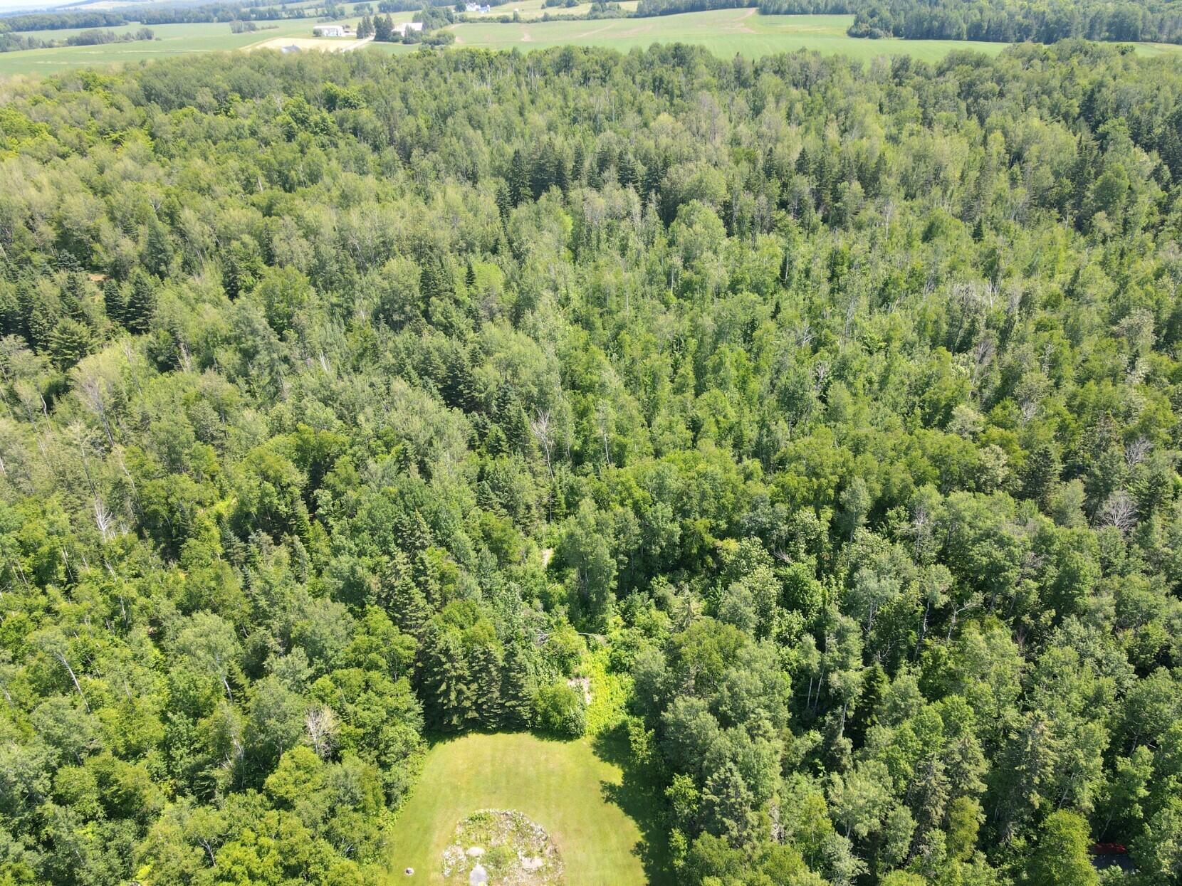 dji_fly_20240625_120818_87_1719336160074