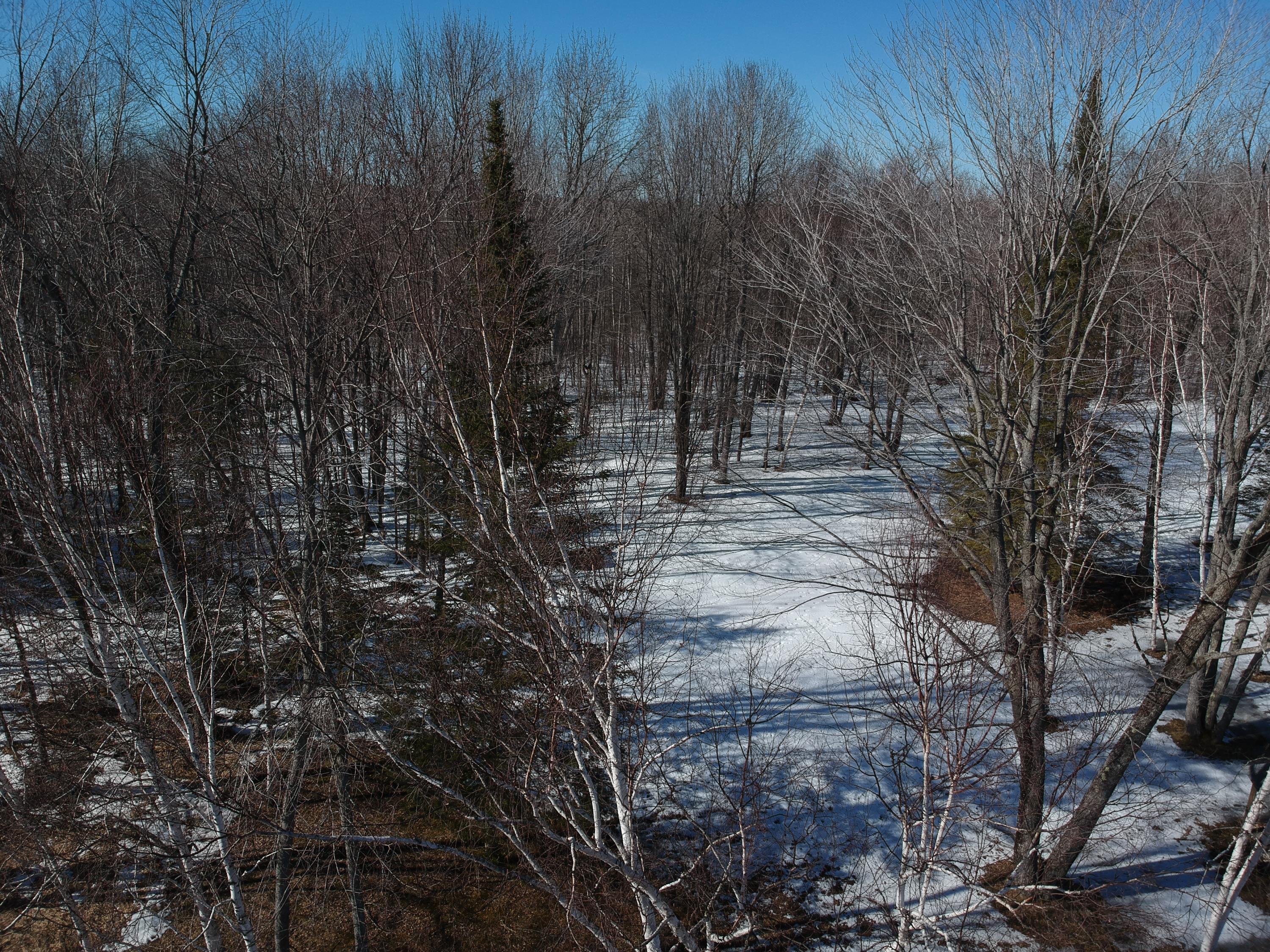 5464 Mission Road Alanson, MI 49706 - Photo 32 of 38 Gallery Image 32