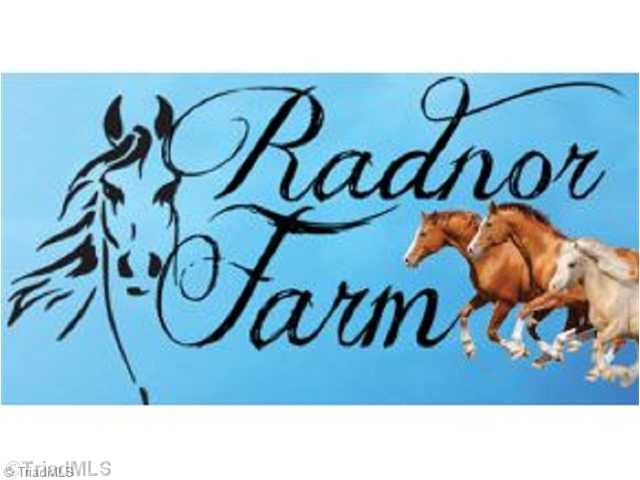 2 Radnor Farm Road Mebane, NC 27302 - Photo 1 of 5 Other.